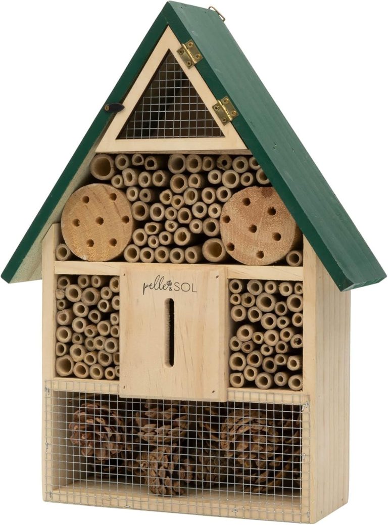 best bee hotel