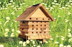 solitary bee hive