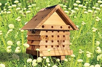 solitary bee hive