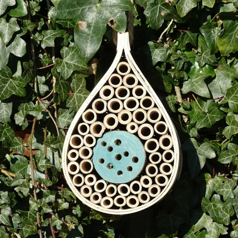 bee house