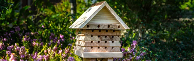 bee hotel