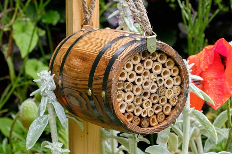 wildlife world bee barrel